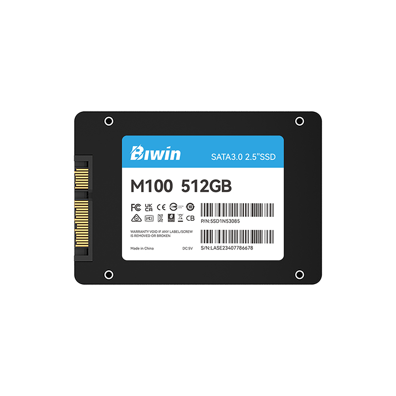 ssd512gbwm100